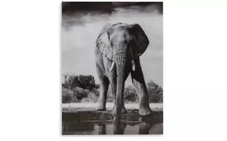 wall art glinyard in black/white by ashley