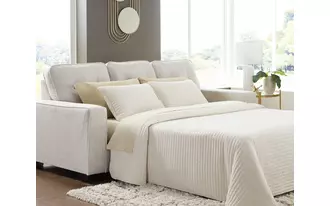 Ashley  queen sofa sleeper in 