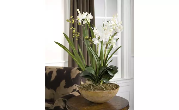 moth orchid planter by uttermost
