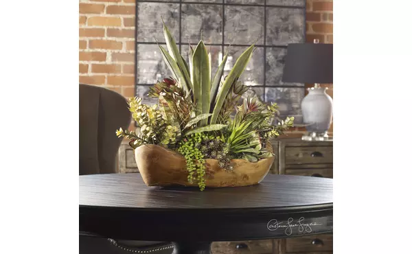 salar succulents by uttermost