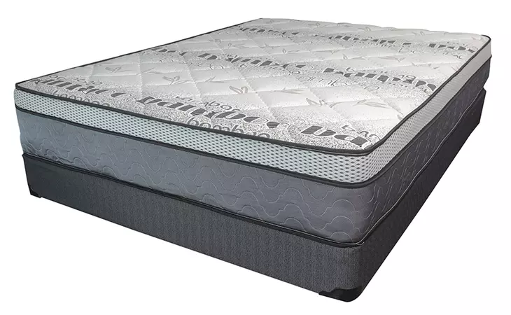 DREAM PEDIC 4
