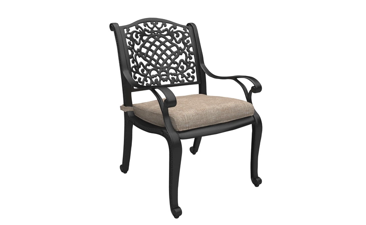 P559-601A ROSE VIEW CHAIR WITH CUSHION (2 CN)