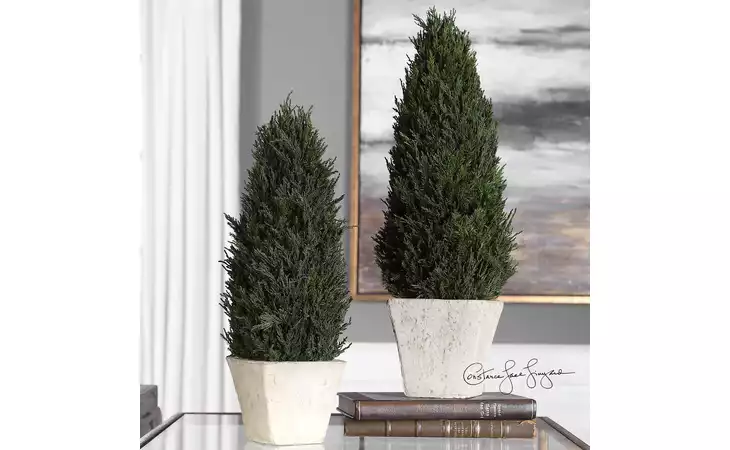 60140  CYPRESS CONE TOPIARIES, S/2